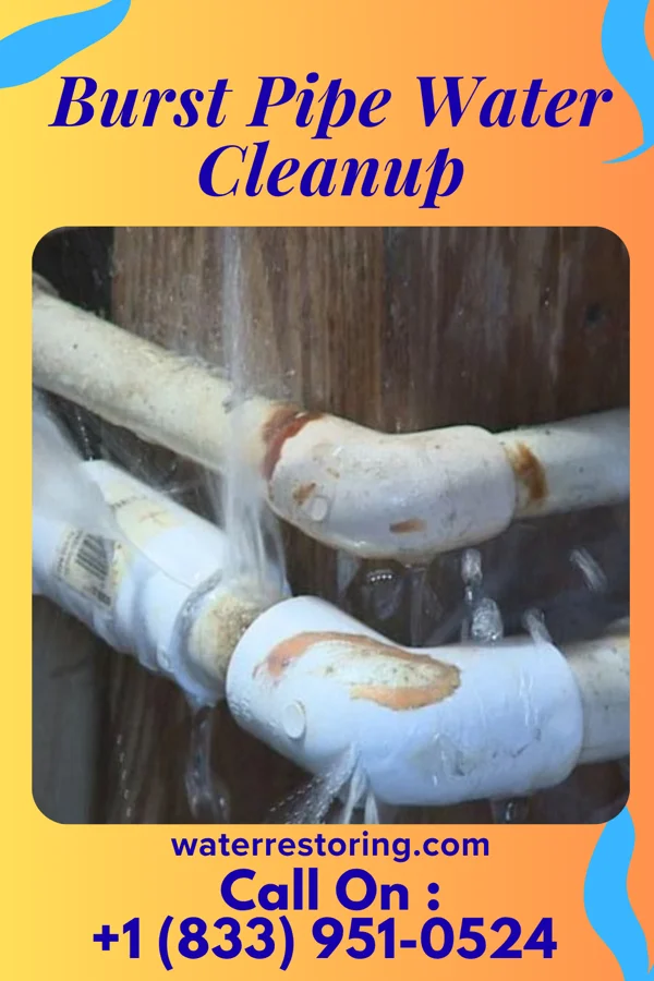 Burst Pipe Water Cleanup in Dixie Inn, LA