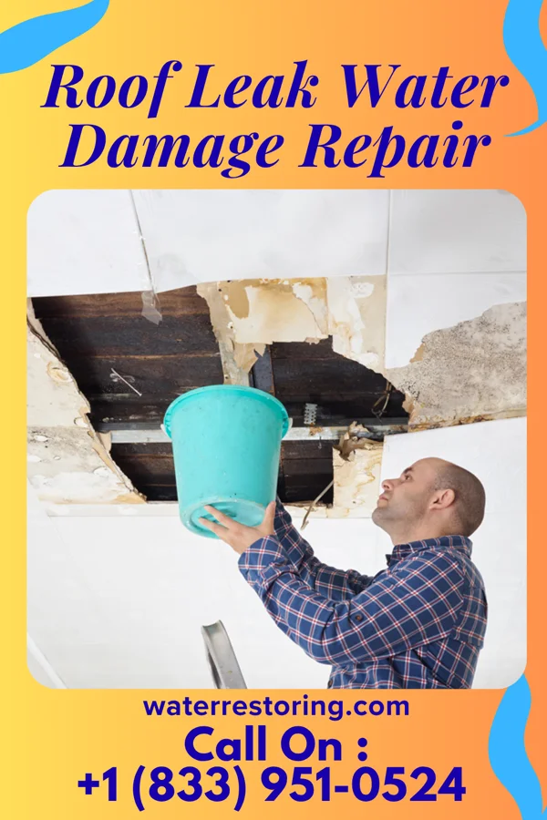 Roof Leak Water Damage Repair in Dixie Inn, LA