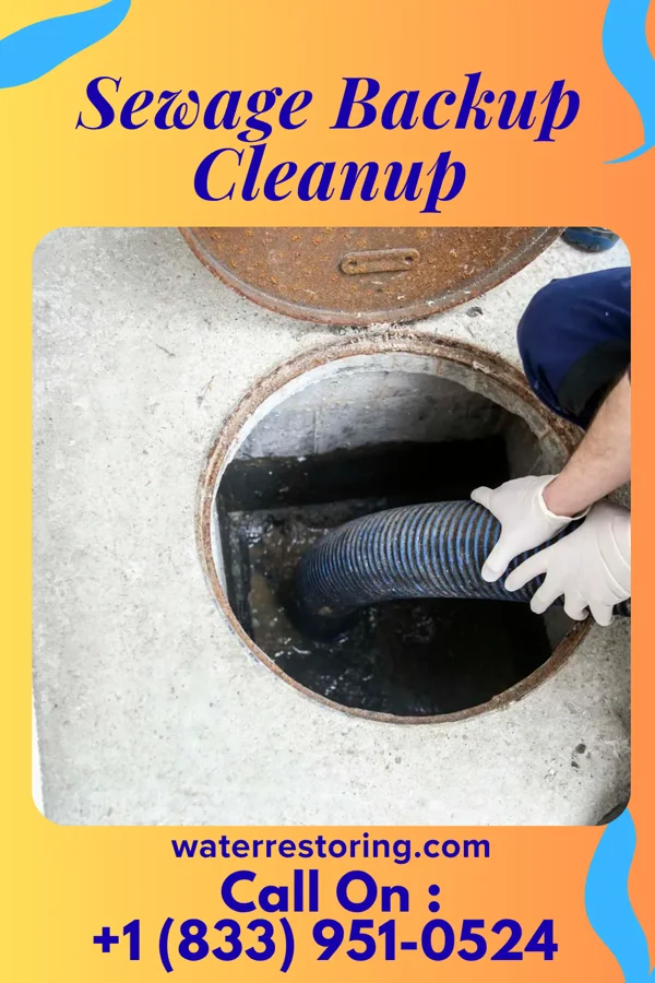 Sewage Backup Cleanup in Dixie Inn, LA